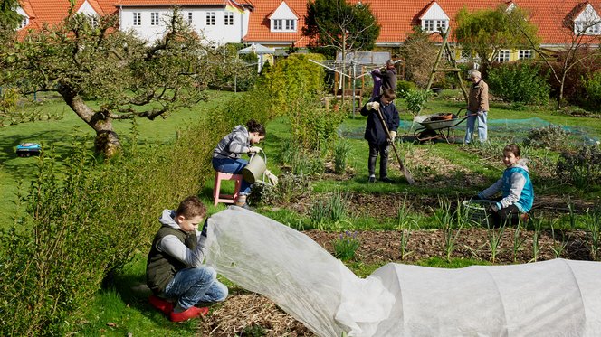 Schüler:innen und Lehrkräfte pflegen gemeinsam den Schulgarten