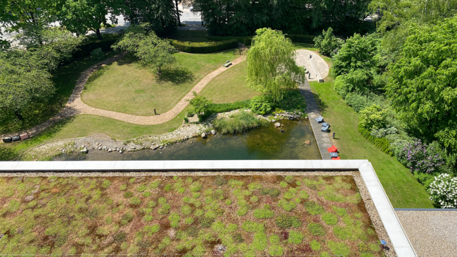 The photo was taken from the tower of the foundation building. View of part of the green roof and the foundation garden.