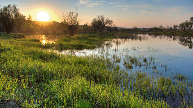 Auf dem Bild ist eine Wasserfläche mit vielen Pflanzen drumherum abgebildet. Die Sonne geht unter und wirft ein schönes Licht auf die Moor-Wasser-Fläche.