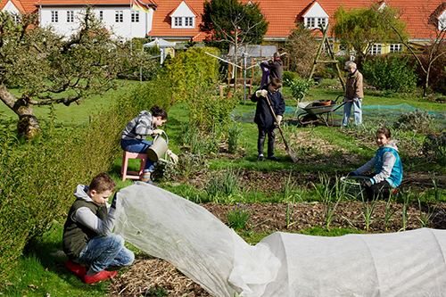 Schüler:innen und Lehrkräfte pflegen gemeinsam den Schulgarten